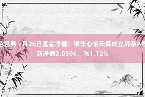 色色男 7月26日基金净值：银华心怡天真成立羼杂A最新净值2.0596，涨1.12%