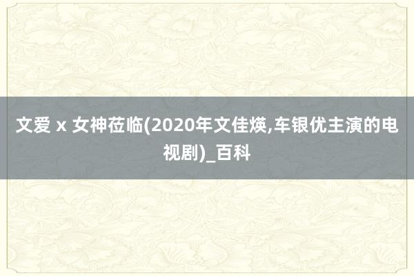 文爱 x 女神莅临(2020年文佳煐,车银优主演的电视剧)_百科