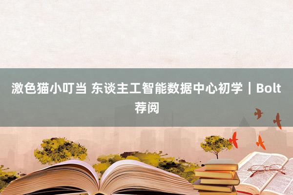 激色猫小叮当 东谈主工智能数据中心初学｜Bolt荐阅