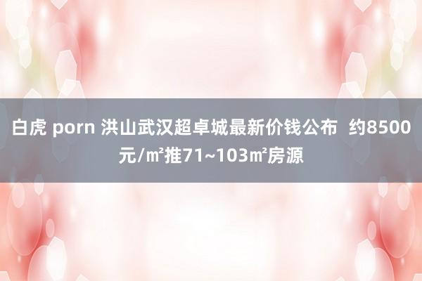 白虎 porn 洪山武汉超卓城最新价钱公布  约8500元/㎡推71~103㎡房源