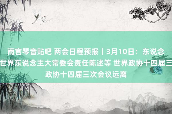 雨宫琴音贴吧 两会日程预报丨3月10日：东说念主代会审议世界东说念主大常委会责任陈述等 世界政协十四届三次会议远离