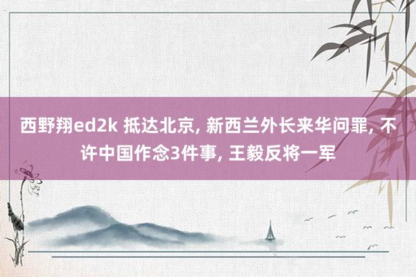 西野翔ed2k 抵达北京， 新西兰外长来华问罪， 不许中国作念3件事， 王毅反将一军