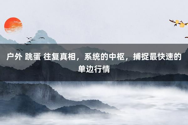 户外 跳蛋 往复真相，系统的中枢，捕捉最快速的单边行情